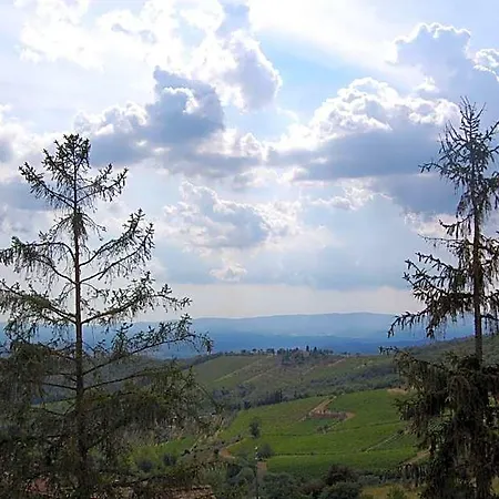 Mariani